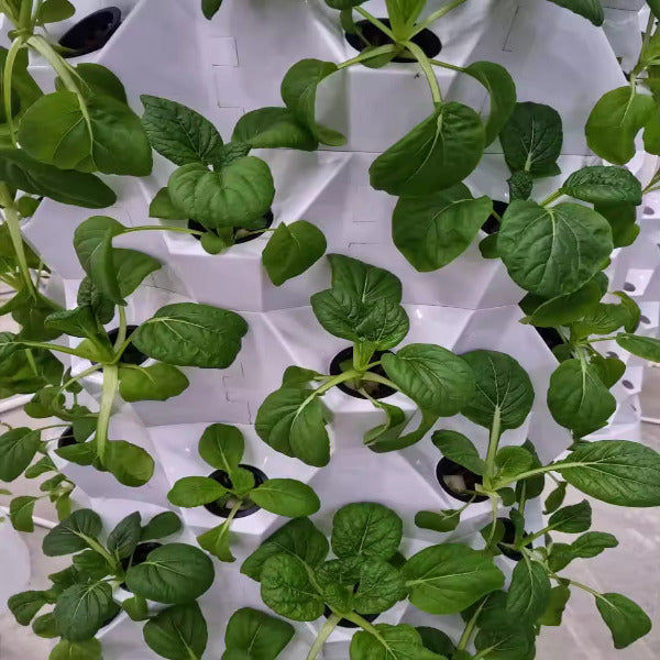 Future Gardens Hydroponics Tower 3 - up to 10 floors - 80 plants - revolution in plant cultivation 